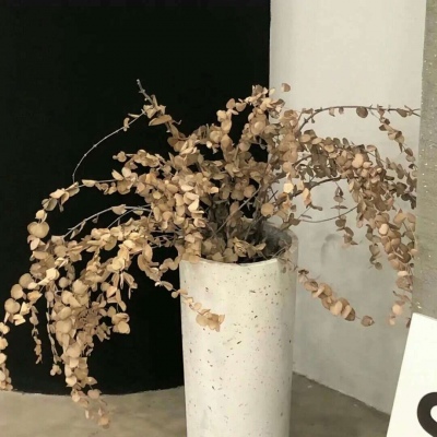 Furry绘画改稿思路FurryQQ群